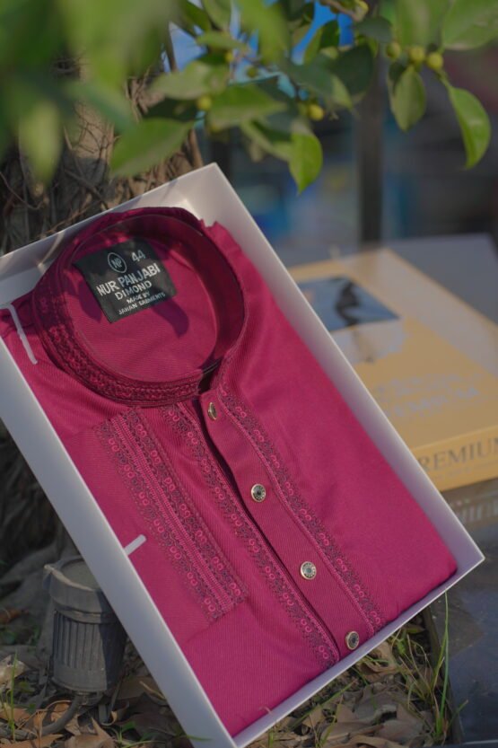 Premium Royal Merron Panjabi